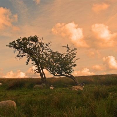 BOB体育综合官方平台官网App